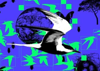 AI is reshaping wildlife conservation as we know it
