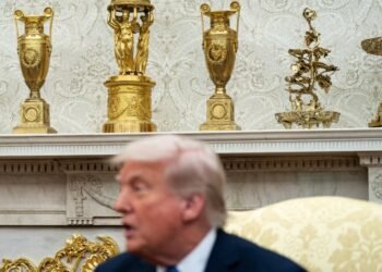 Florida man orders beautification of America after gold-plating the White House